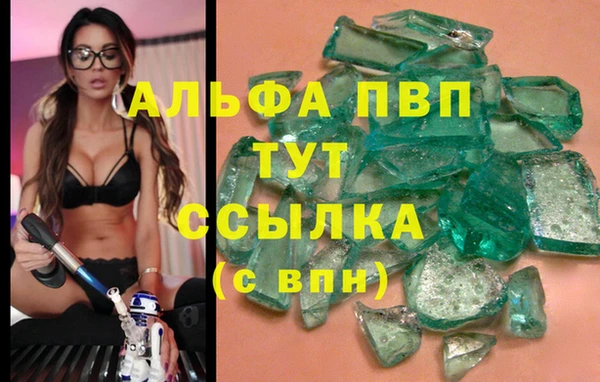 спиды Гусь-Хрустальный