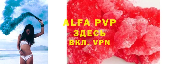 круглые Гусев