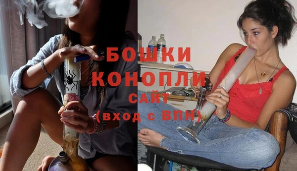 круглые Гусев