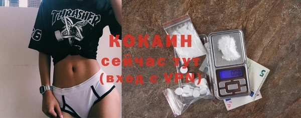 круглые Гусев
