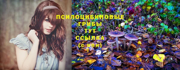 круглые Гусев